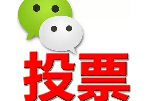 吉林省微信投票功能开发 上传图片投票